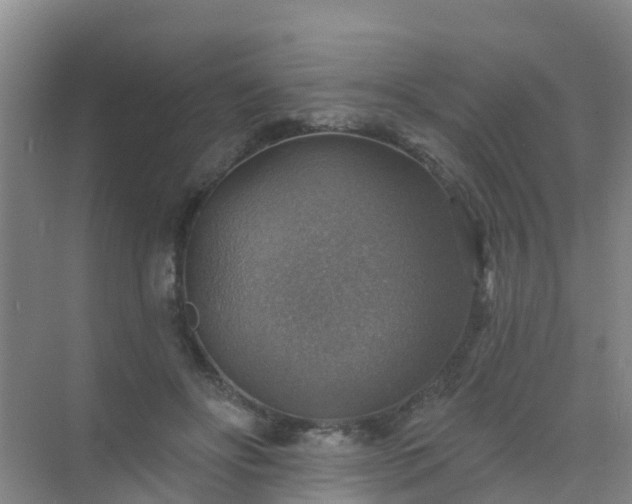 X0000072970502200607282325