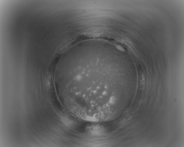 X0000072970503200607282325