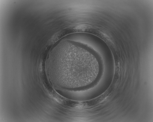 X0000072970504200607282325