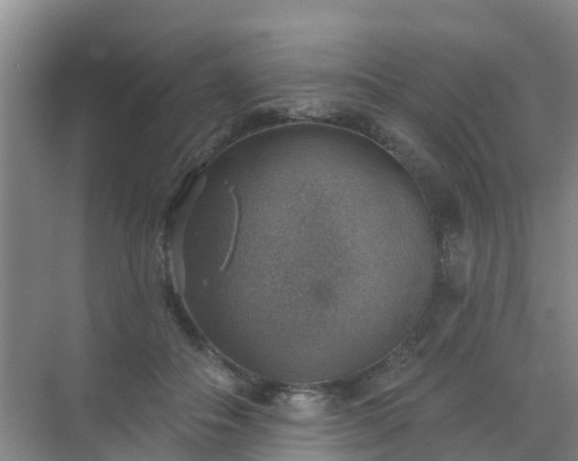 X0000072970506200607282325