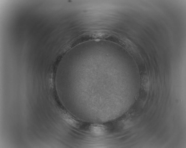 X0000072970510200607282325