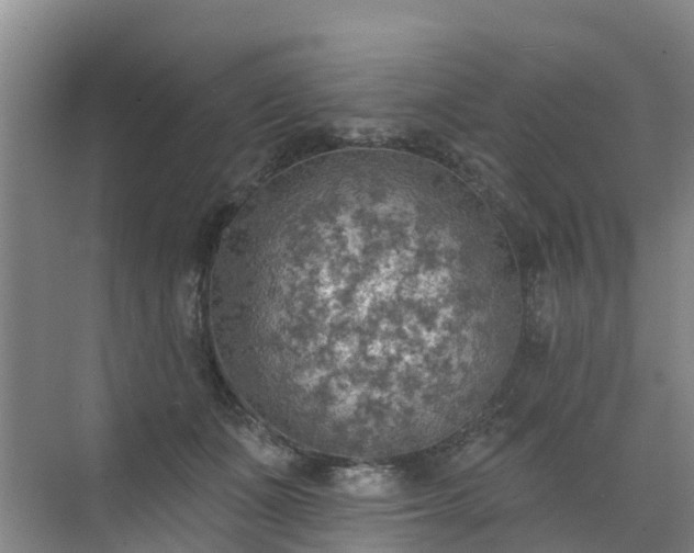 X0000072970511200607282325