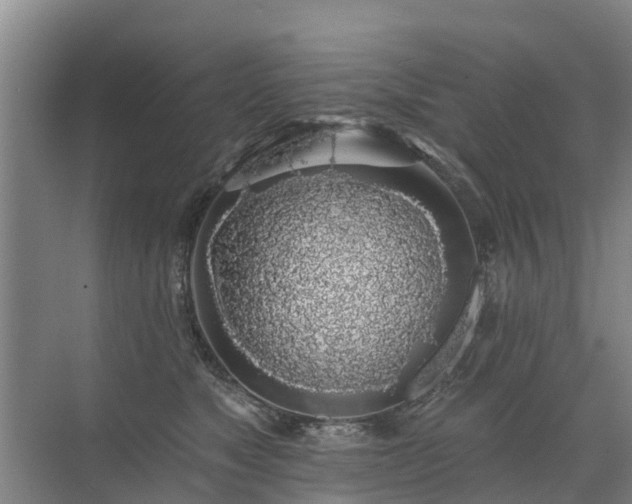 X0000072970517200607282325