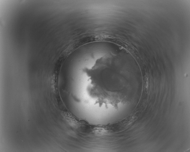 X0000072970519200607282325