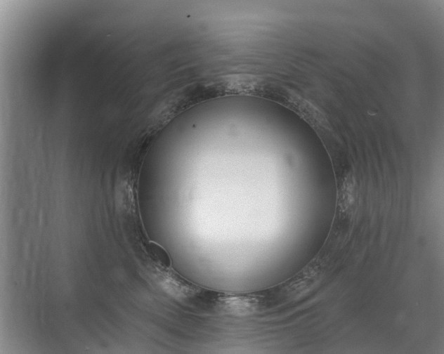 X0000072970522200607282325