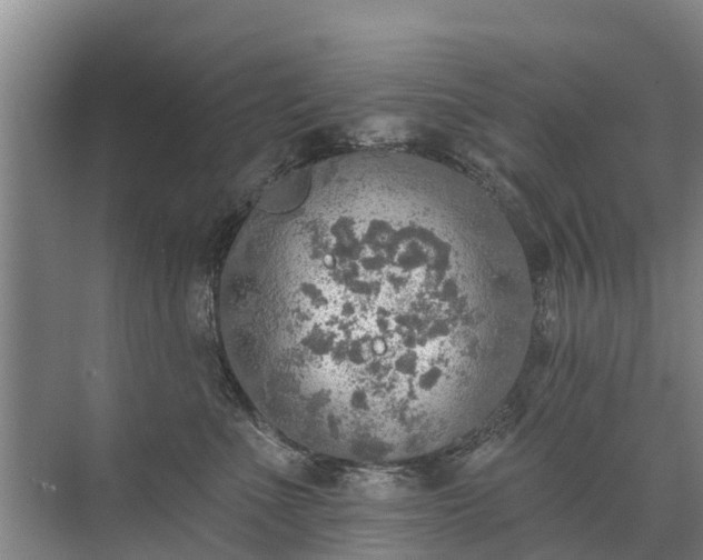 X0000072970523200607282325