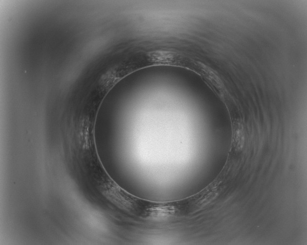 X0000072970525200607282325