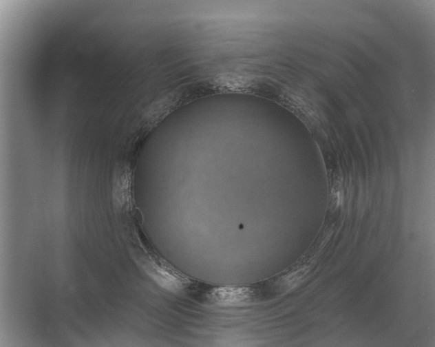 X0000072970526200607282325