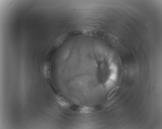 X0000072970527200607282325