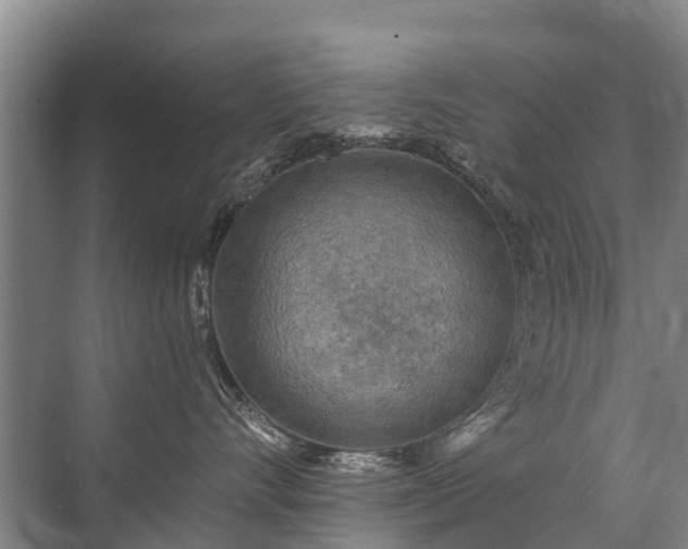 X0000072970528200607282325