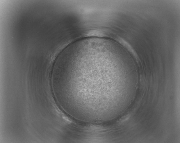 X0000072970529200607282324