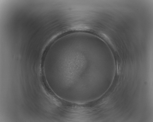 X0000072970531200607282324