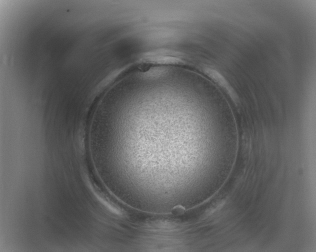 X0000072970533200607282324