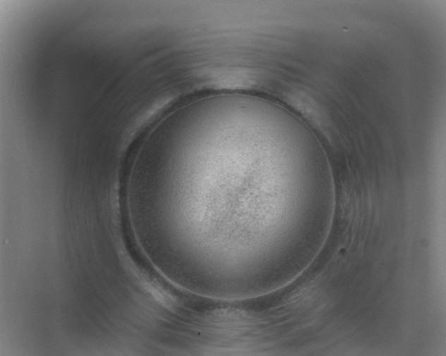 X0000072970535200607282324