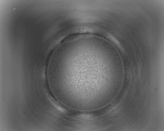 X0000072970537200607282324