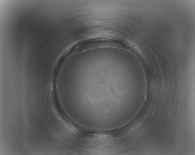 X0000072970539200607282324