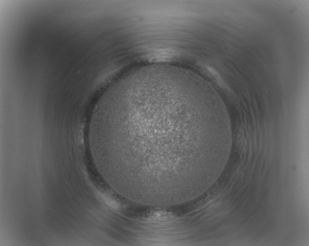 X0000072970543200607282324