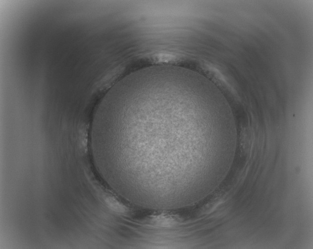 X0000072970545200607282324