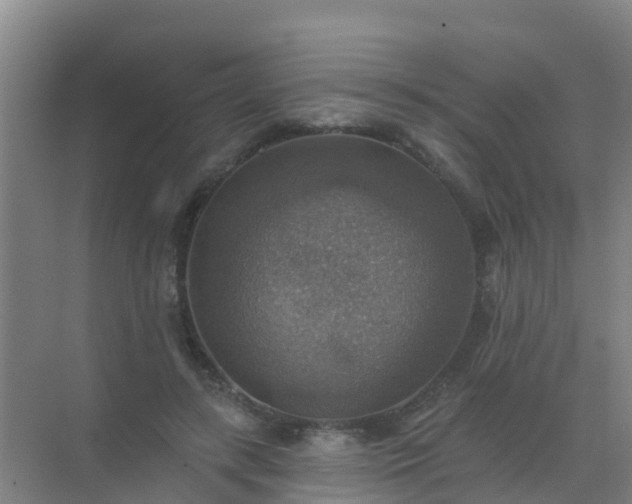 X0000072970547200607282324