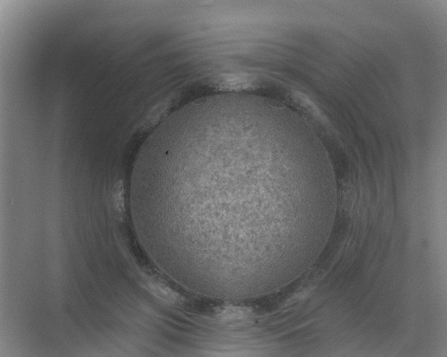 X0000072970549200607282324