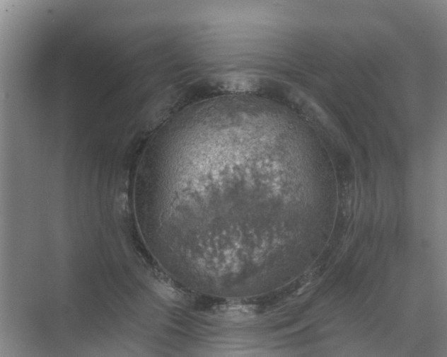 X0000072970553200607282325