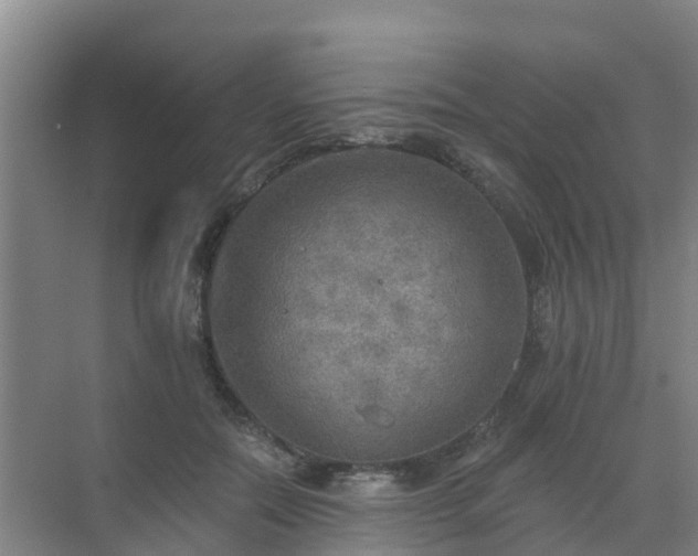 X0000072970554200607282325