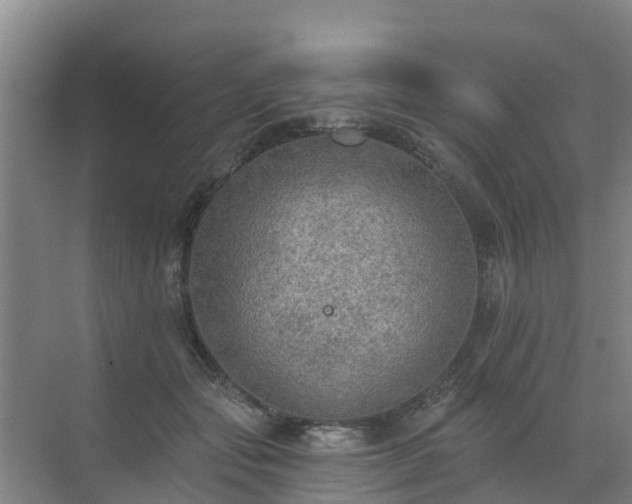 X0000072970557200607282325