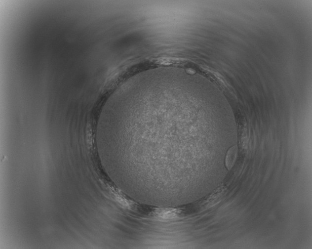 X0000072970569200607282325