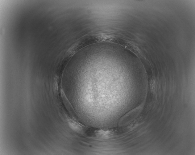 X0000072970570200607282325