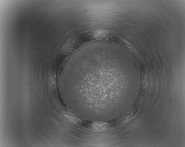 X0000072970571200607282325