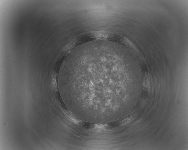 X0000072970573200607282325