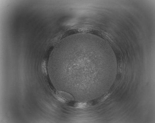 X0000072970575200607282325