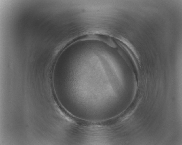 X0000072970577200607282324