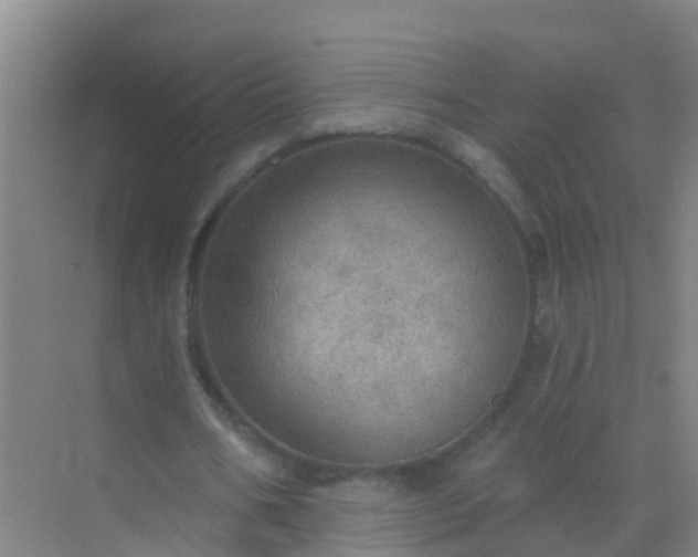 X0000072970578200607282324