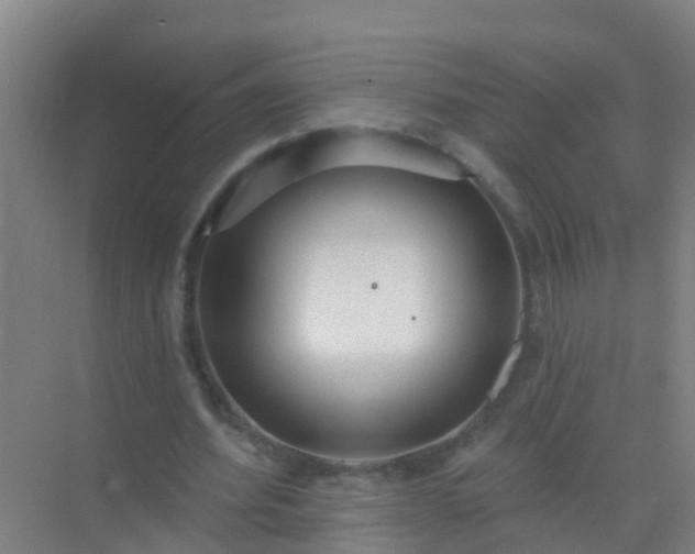 X0000072970580200607282324