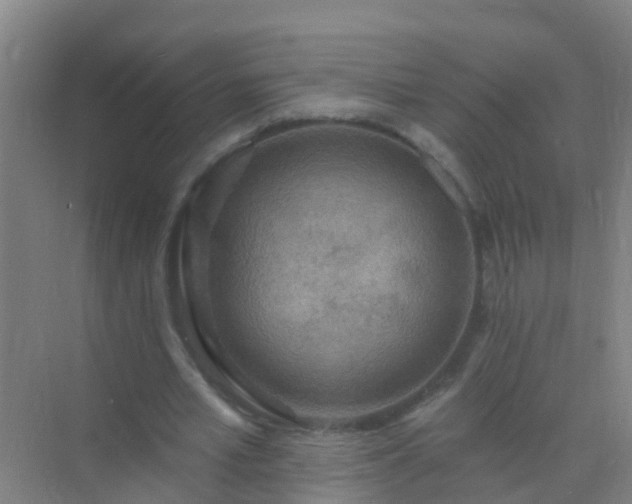 X0000072970581200607282324