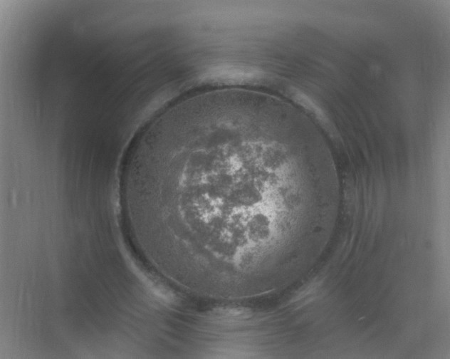 X0000072970582200607282324