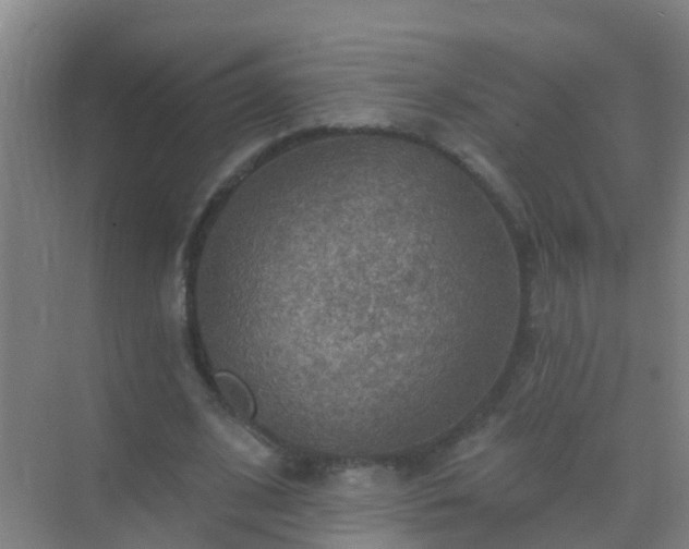 X0000072970584200607282324