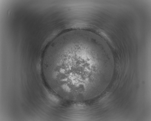 X0000072970586200607282324