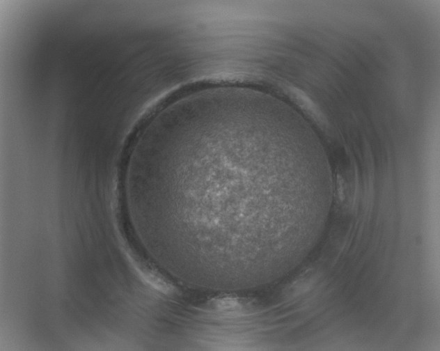 X0000072970588200607282324