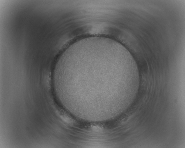 X0000072970592200607282324