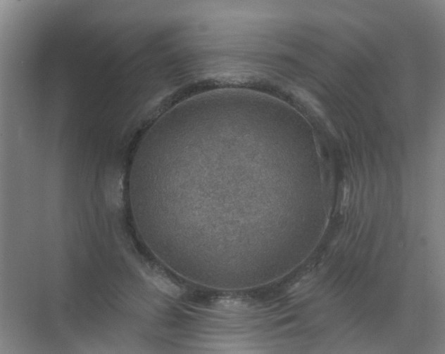 X0000072970596200607282324