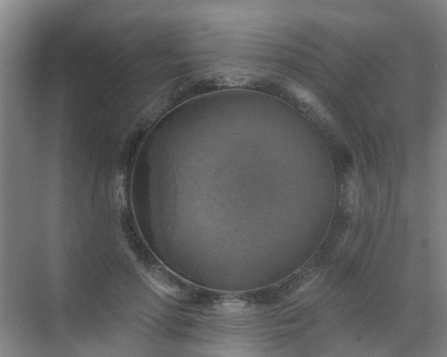 X0000072970598200607282324