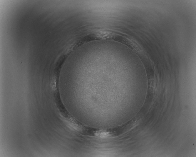 X0000072970602200607282324