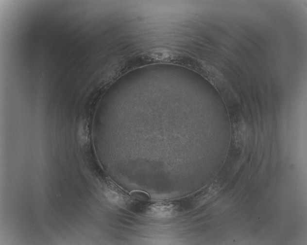 X0000072970606200607282324