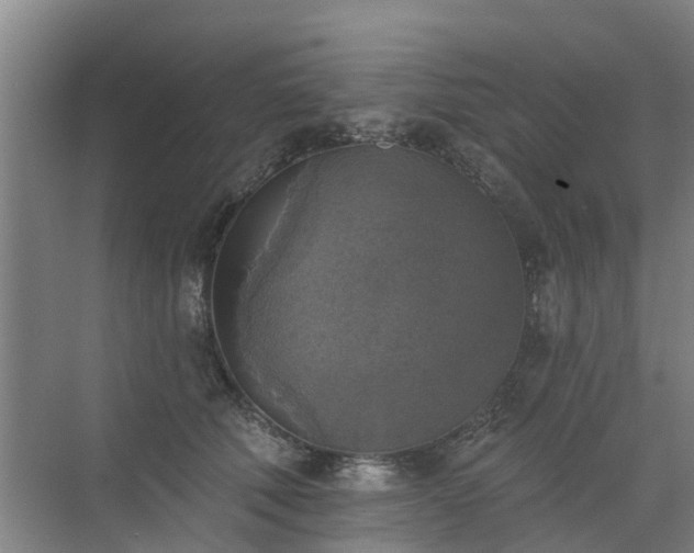 X0000072970610200607282324