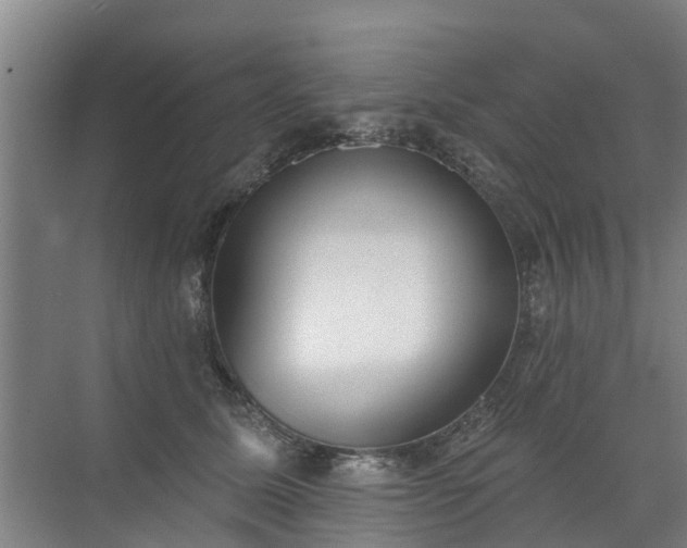 X0000072970611200607282324