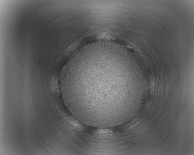 X0000072970619200607282323