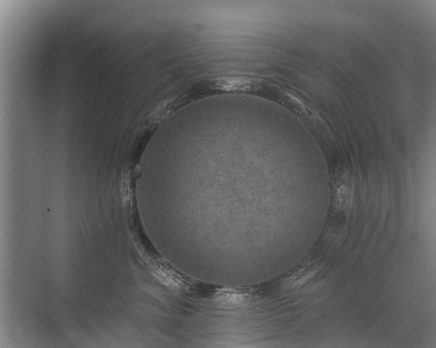 X0000072970620200607282323