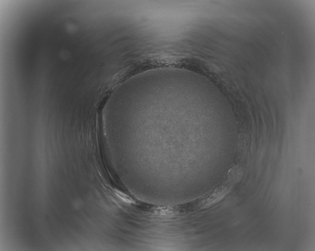 X0000072970624200607282323